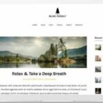 BlogFeedly Theme GPL v119.5 – Superb Themes